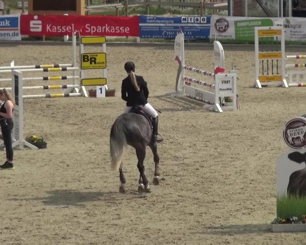 Reitturnier Fürstenwald 2018