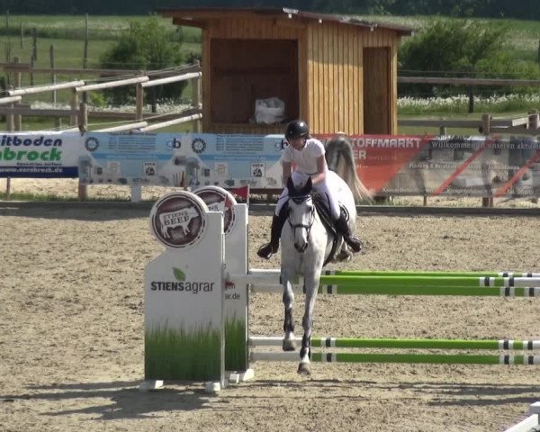 Reitturnier Fürstenwald 2018
