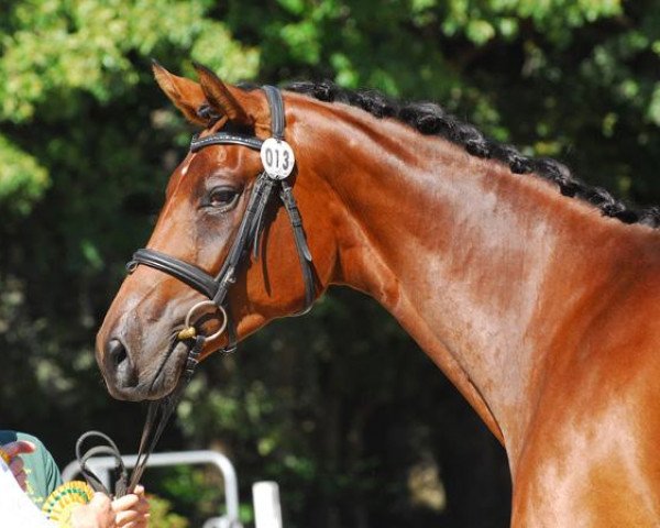 broodmare Felice la jolie H (Zweibrücken, 2008, from Fürstenreich)