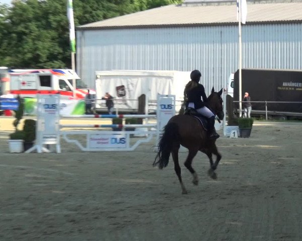 Reitturnier Ratingen-Lintorf 2018