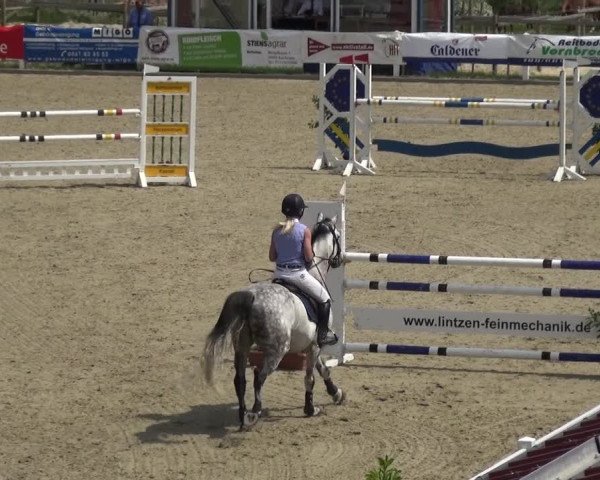 Reitturnier Fürstenwald 2018