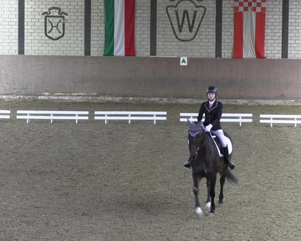 Reitturnier Hamm-Rhynern 2018