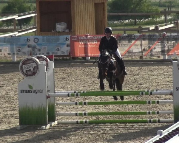 Reitturnier Fürstenwald 2018