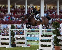 jumper Bon Ami (Belgian Warmblood, 2001, from Pavarotti van de Helle)