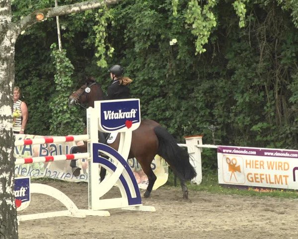 Eppelheimer Reiterfest 2018