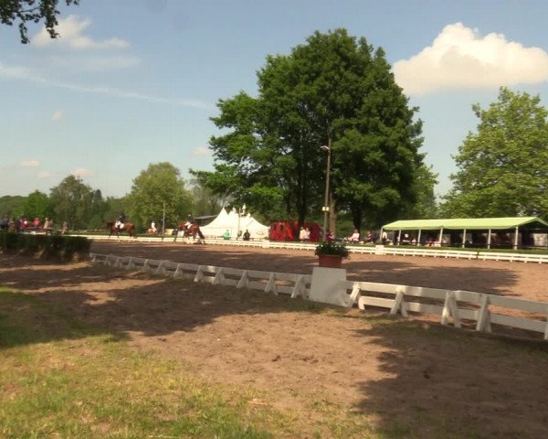 Reitturnier Hamm-Rhynern 2018