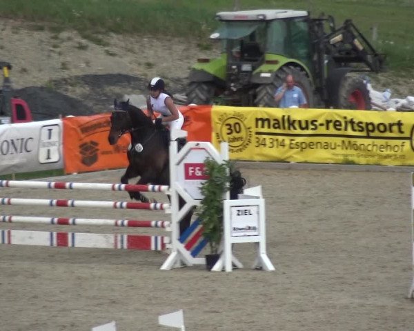 Reitturnier Fürstenwald 2018