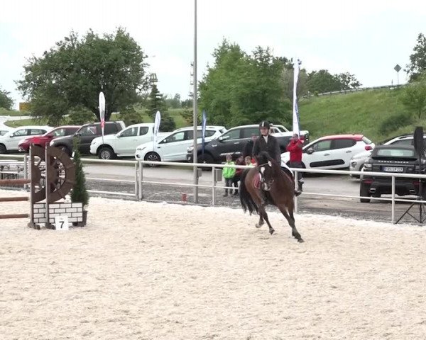 Reitturnier Achern 2018