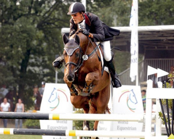 stallion Quicksilber (Brandenburg, 2000, from Quattro B)