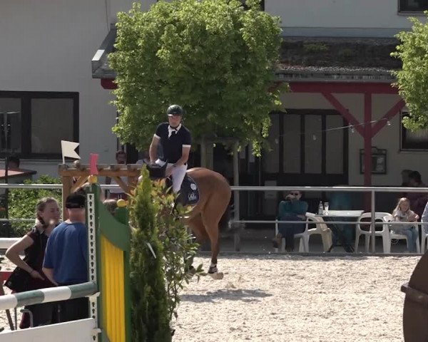 Reitturnier Achern 2018