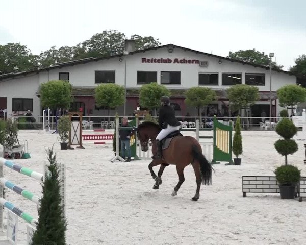 Reitturnier Achern 2018