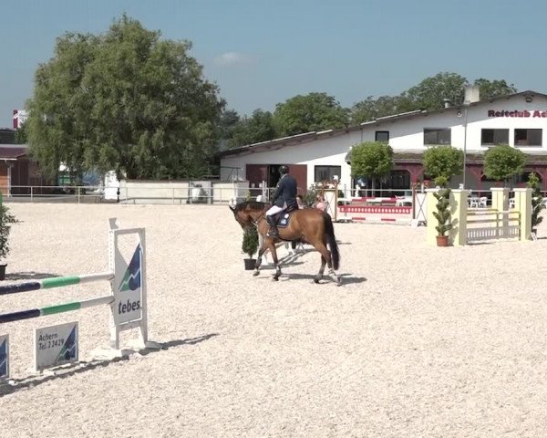 Reitturnier Achern 2018