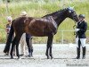 broodmare Tonia 14 (Bavarian, 2010, from L'espoir)