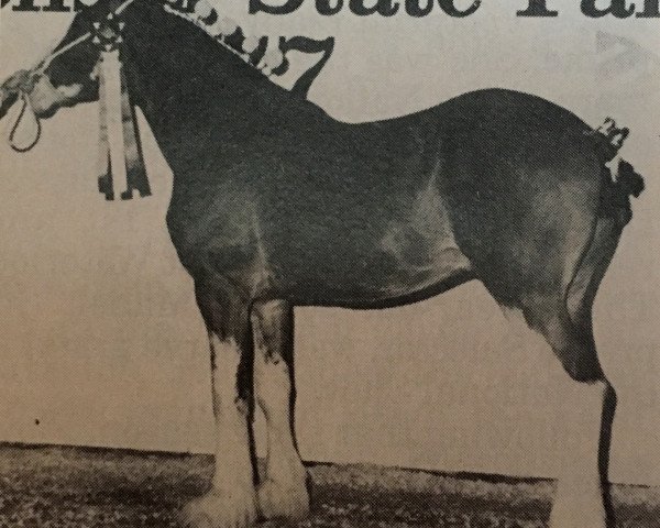 stallion Jonesway Supreme Selector (Clydesdale, 1976, from Ideal Selector)