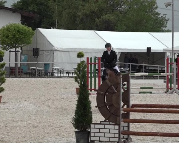 Reitturnier Achern 2018