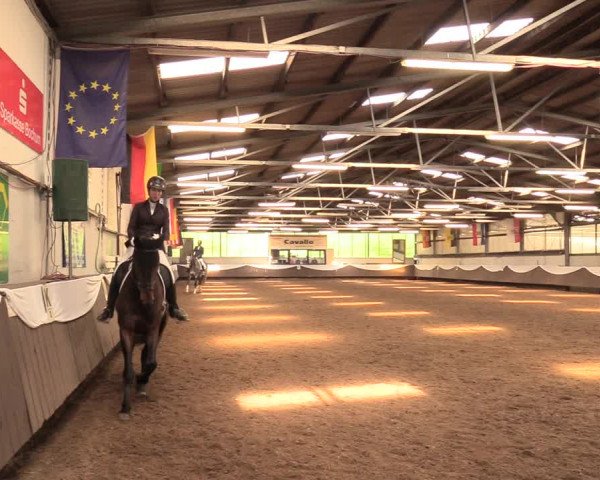 Pfingssturnier Bochum-Nord 2018