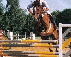 broodmare Indra (German Warmblood, 1990, from Ico)