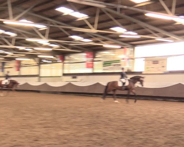 Pfingssturnier Bochum-Nord 2018