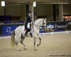 dressage horse Bem Me Quer (Lusitano, 2006)