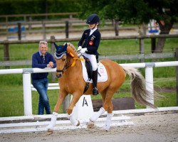 dressage horse Don Miguel Fh (Deutsches Reitpony, 2005, from Don Joshi)