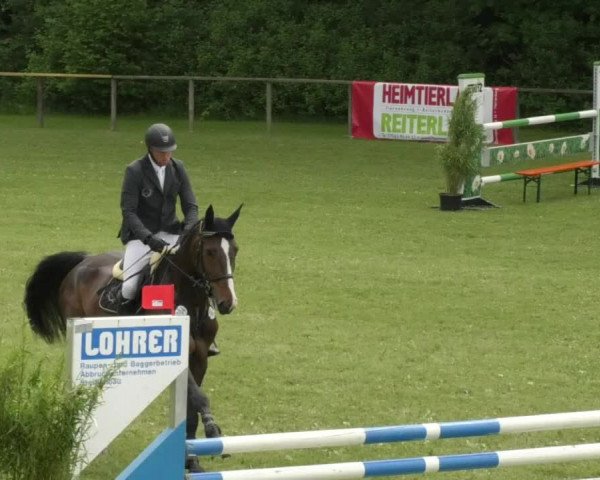 Reitturnier Jettingen 2018