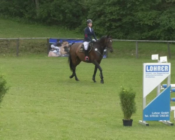 Reitturnier Jettingen 2018