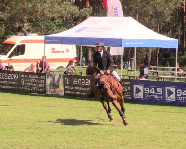 Reitturnier Cottbus-Sielow 2018