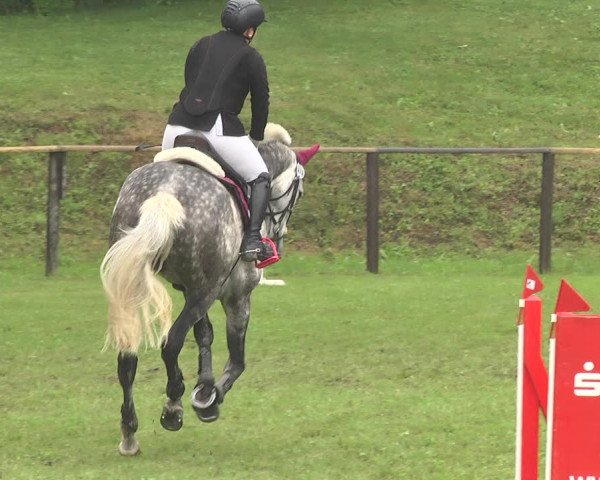 Reitturnier Jettingen 2018