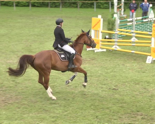 Reitturnier Jettingen 2018