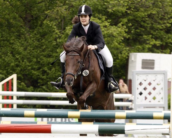 jumper O'Julie (German Riding Pony, 2004, from Oosteinds Ricky)