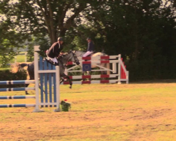 Reitturnier Wustrow 2018