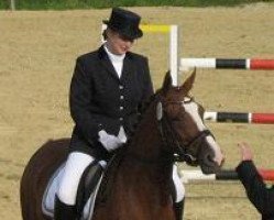 dressage horse Fey's Panthasylea (Westfale, 2004, from Pik Donnerhall)