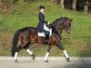 stallion Revanche de Rubin (Oldenburg, 2002, from Rubin Royal OLD)