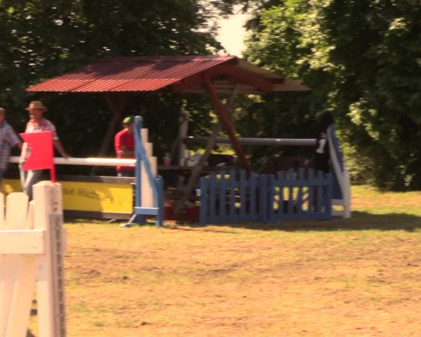 Reitturnier Wustrow 2018