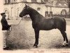 Deckhengst Iambe (FR) (Französischer Traber, 1886, von Cherbourg (FR))