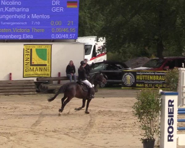 Reitturnier Iserlohn-Kalthof 2018