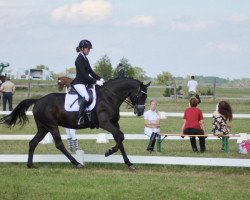 dressage horse Soul Diva (Mecklenburg, 2007, from Samurai SB)