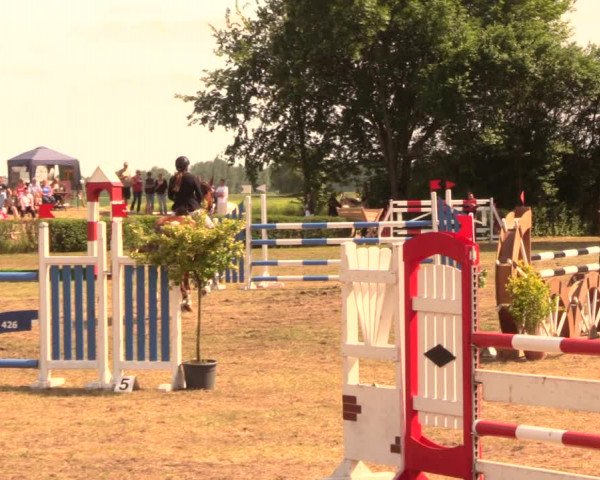 Reitturnier Wustrow 2018