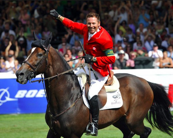 stallion Hickstead (KWPN (Royal Dutch Sporthorse), 1996, from Hamlet)