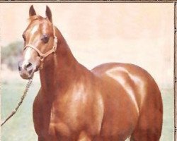 Deckhengst Doc Bar (Quarter Horse, 1956, von Lightning Bar)