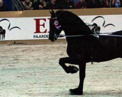 stallion Fabe 348 (Friese, 1993, from Melle 311)