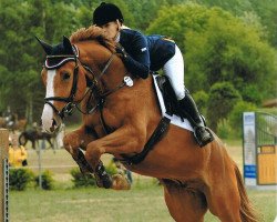 jumper Esperanto (Hanoverian, 2006, from Escudo I)