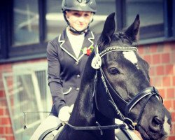 dressage horse Don Vito 9 (Hanoverian, 2002, from Del Piero)