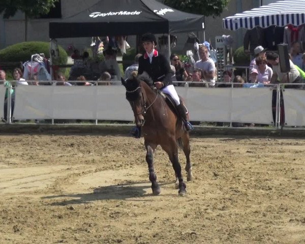 Reitturnier Frechen-Grefrath - Sonnenhof 2018