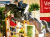 jumper Con Emma (Hanoverian, 2007, from Contendro I)