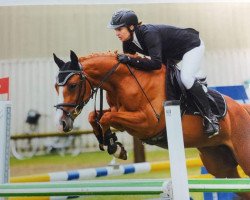 Springpferd Chica Lilly (Deutsches Reitpony, 2011, von FS Champion de Luxe)