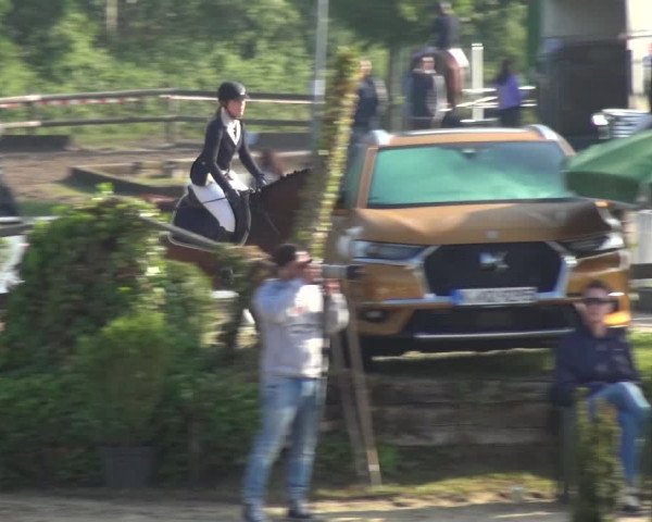 Reitturnier Frechen-Grefrath - Sonnenhof 2018