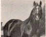 stallion Sugar Bars (Quarter Horse, 1951, from Three Bars xx)
