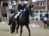 dressage horse Instersturm 5 (Westphalian, 2010, from Insterburg TSF)