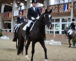 dressage horse Instersturm 5 (Westphalian, 2010, from Insterburg TSF)